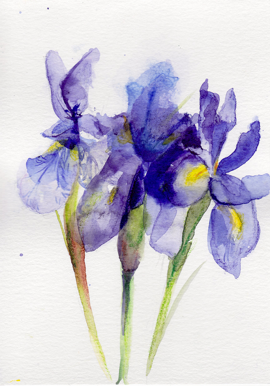 Iris I - February Birth Flower Original Painting