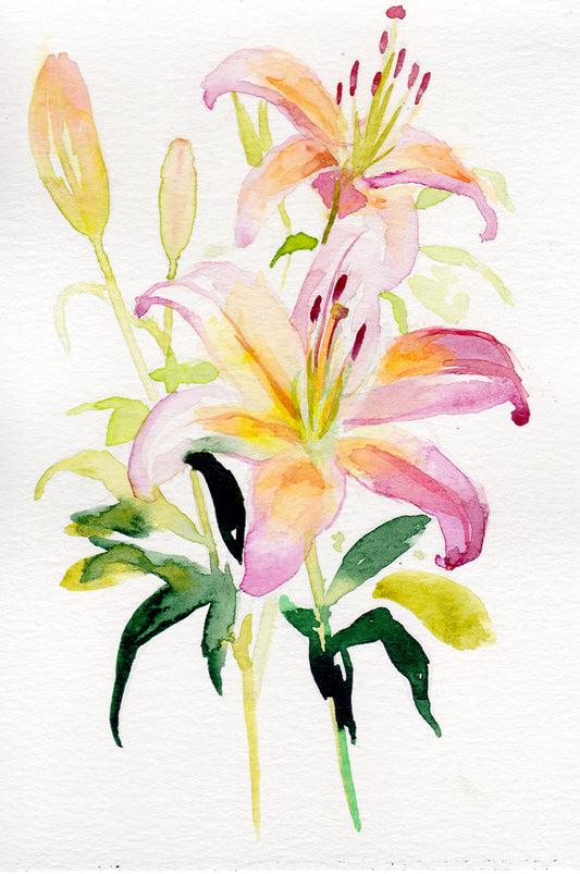Lily - May Birth Flower Original Painting