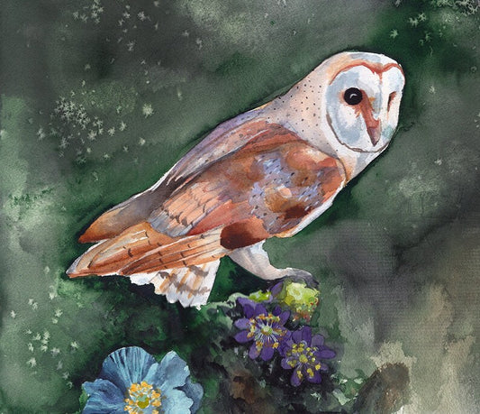 Barn Owl Original Watercolor