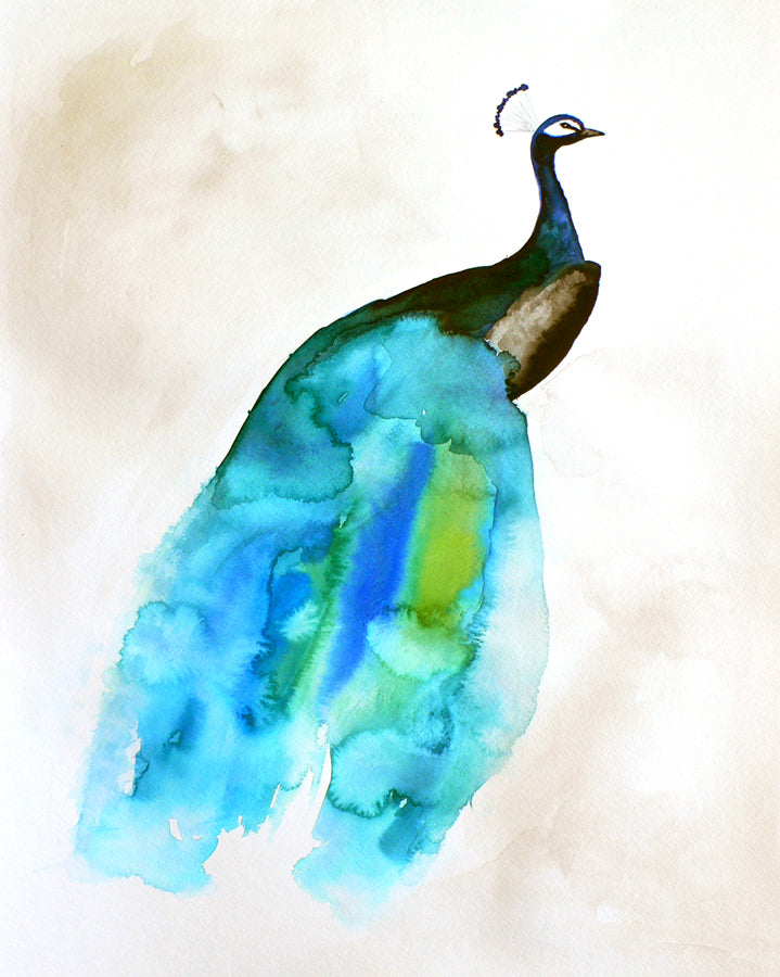 Peacock II Art Print