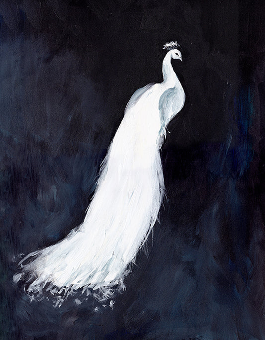 White Peacock III Art Print